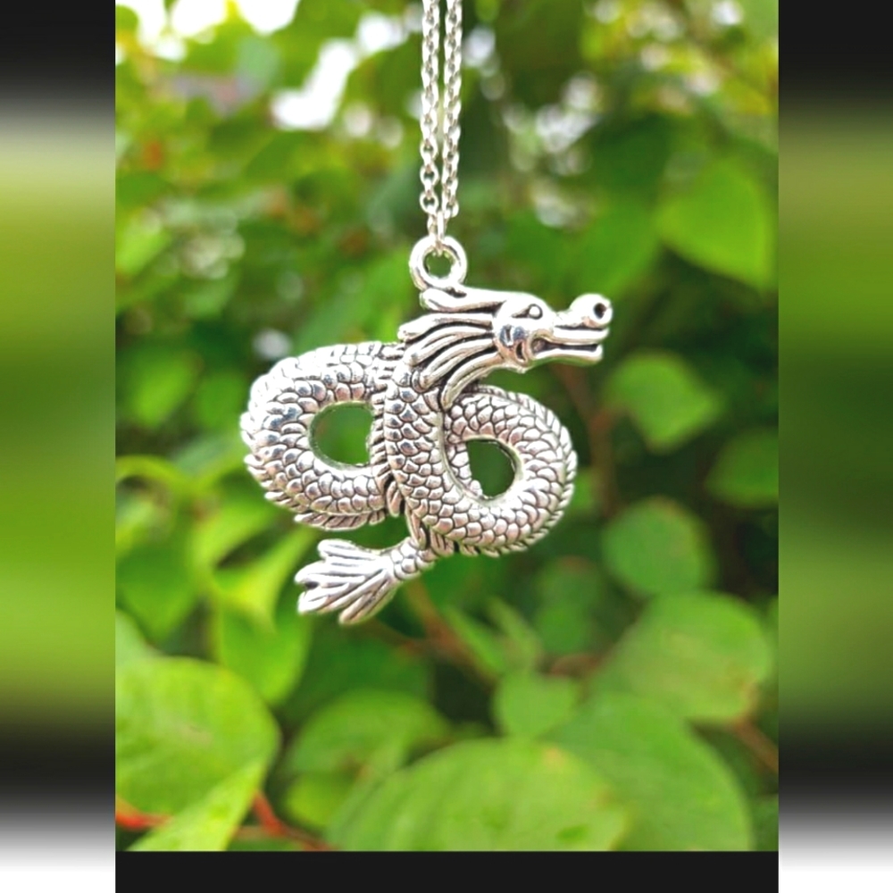Dragon pendant and necklace 60cm NEW